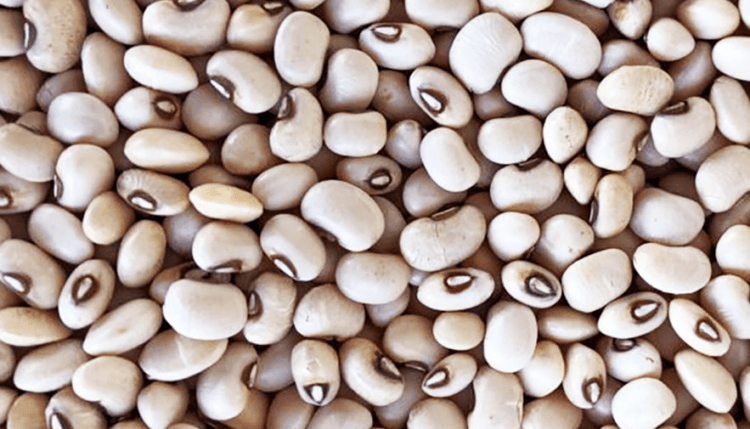 Lista de fevereiro dos produtos com direito a bônus do PGPAF é publicada: do Tocantins, feijão caupi deixa de receber o benefício