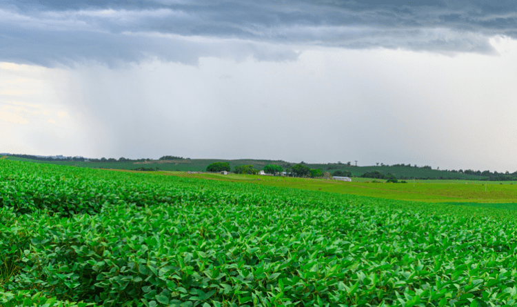 Inmet divulga dados que mostram o enfraquecimento do El Niño