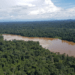 Amazônia e Cerrado têm queda de alertas de desmatamento