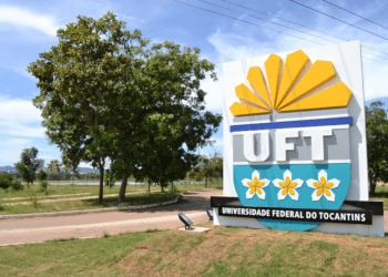 UFT e UFNT abrem vestibular: há 60 vagas distribuídas entre medicina veterinária, agronomia e zootecnia