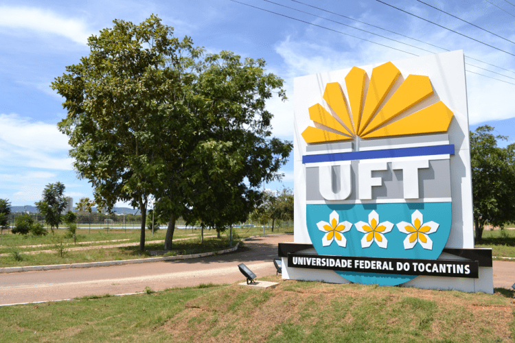 UFT e UFNT abrem vestibular: há 60 vagas distribuídas entre medicina veterinária, agronomia e zootecnia