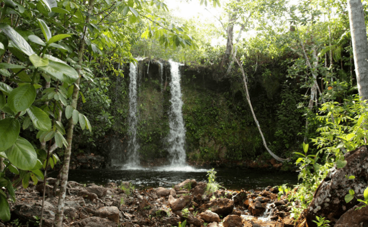 Municípios devem ficar atentos para prazo de preenchimento do Questionário do ICMS Ecológico do Tocantins ano-base 2023
