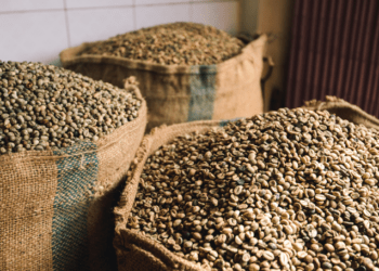 Abertura de mercado na Zâmbia para o café brasileiro