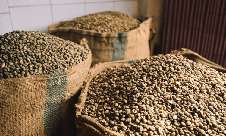 Abertura de mercado na Zâmbia para o café brasileiro