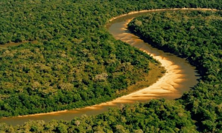Fazendeiro tem prazo para retirar rebanho de gado criado dentro da Ilha do Bananal