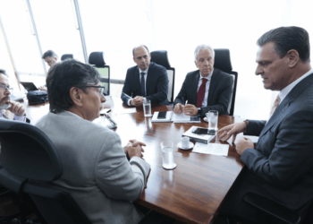 Ministério da Agricultura e IBGE debatem estatísticas da agropecuária brasileira