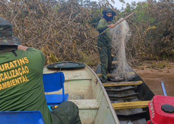 Naturatins percorre municípios de norte a sul do Estado, apreende 64 kg de pescado e mais de 2 mil metros de redes