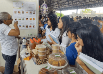 APA Ilha do Bananal/Cantão participa do Festival do Buriti e Feira Agrocultural em Divinópolis