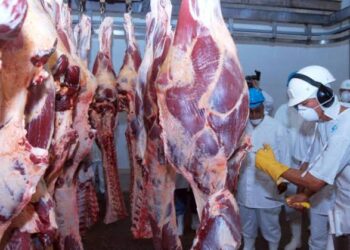 China deve habilitar 20 frigoríficos brasileiros para exportação este mês