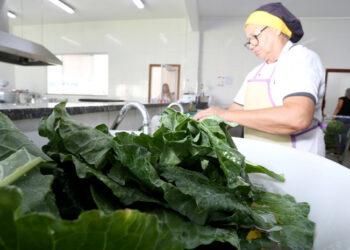 Chamada Pública aberta para aquisição de produtos da agricultura familiar para escolas estaduais de Palmas e região