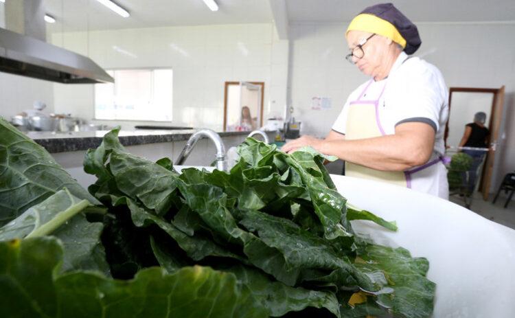 Chamada Pública aberta para aquisição de produtos da agricultura familiar para escolas estaduais de Palmas e região