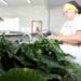 Chamada Pública aberta para aquisição de produtos da agricultura familiar para escolas estaduais de Palmas e região