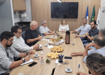 FAET e entidades do agro exigem esclarecimentos do Governo sobre desmatamento ilegal no Tocantins