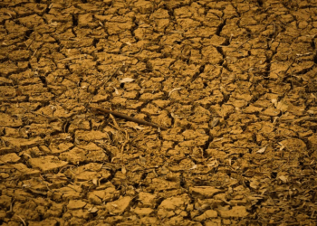 Vizinho do Tocantins, Goiás decreta emergência em 25 municípios por falta de chuvas