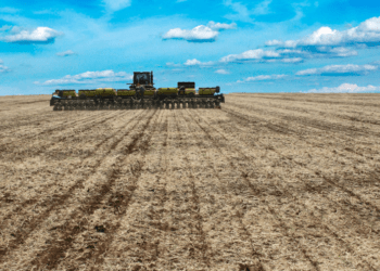 Condições climáticas causam impactos na colheita da soja e plantio do milho segunda da safra no Tocantins