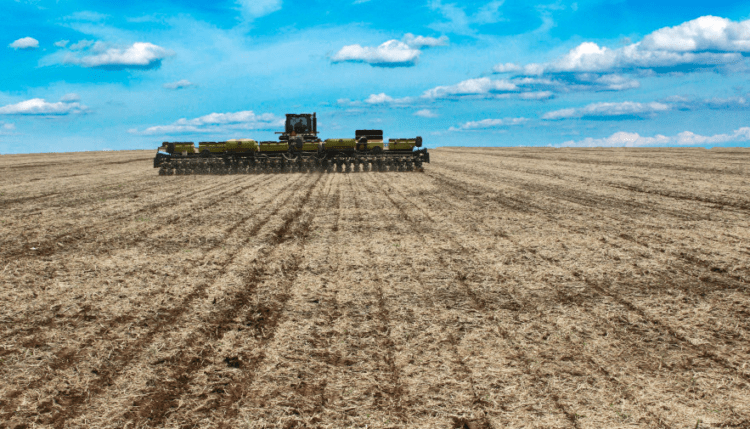 Condições climáticas causam impactos na colheita da soja e plantio do milho segunda da safra no Tocantins