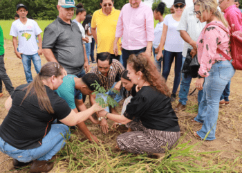 Tocantins celebra Semana Estadual da Água com projeto Plantando Água no município de Almas