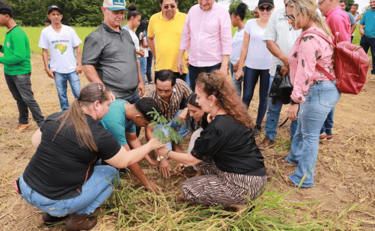 Tocantins celebra Semana Estadual da Água com projeto Plantando Água no município de Almas