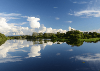 Naturatins publica edital de convocação para eleição de membros do Conselho Gestor da APA Ilha do Bananal/Cantão