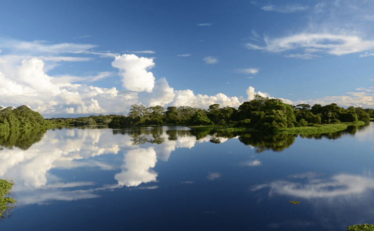 Naturatins publica edital de convocação para eleição de membros do Conselho Gestor da APA Ilha do Bananal/Cantão