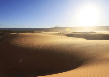 Setur publica resultado de pesquisa sobre movimentação de turistas no período de Carnaval