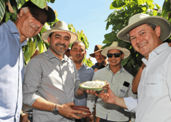 Na Bahia, governador Wanderlei Barbosa analisa inovações para impulsionar a produção de cacau no Tocantins