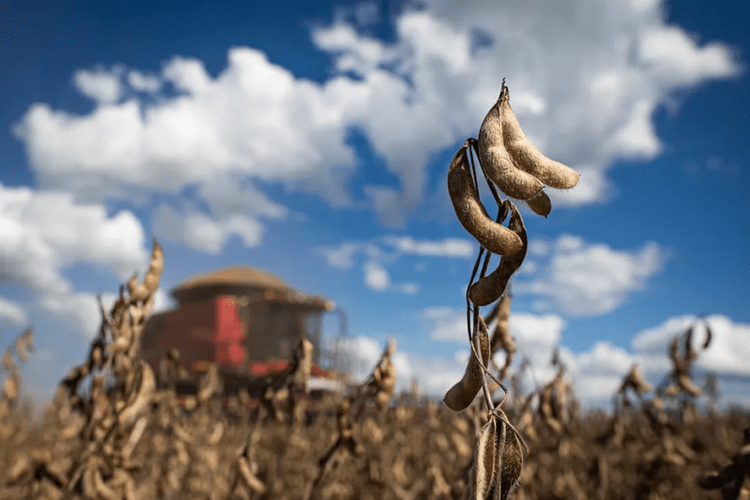 Após 17 anos com bons resultados, produtor de soja pode ter prejuízo na safra 2023/24