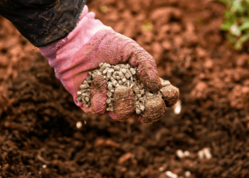 Senado aprova projeto para indústria de fertilizantes