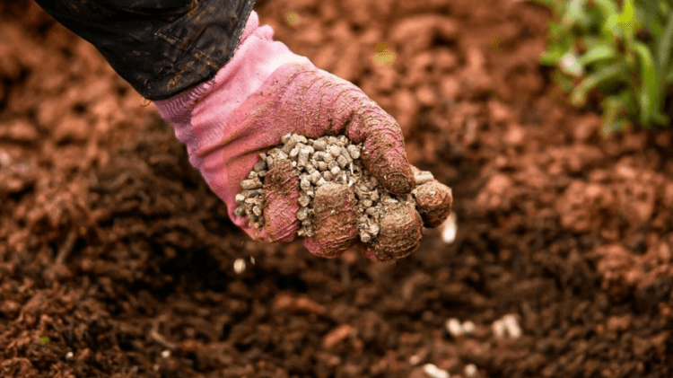 Senado aprova projeto para indústria de fertilizantes