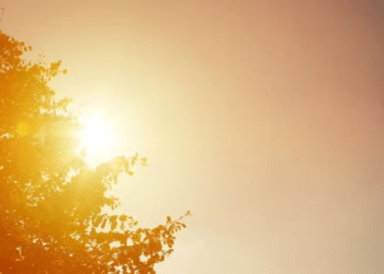 El Niño 2023/24 é um dos cinco mais fortes da história e deve causar mais calor