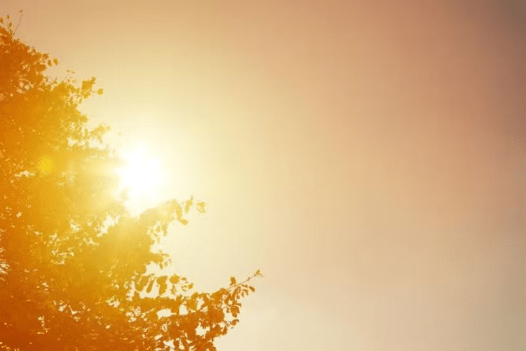 El Niño 2023/24 é um dos cinco mais fortes da história e deve causar mais calor