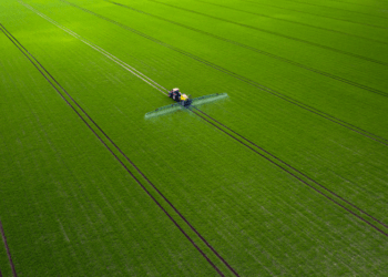 Em oito meses o desembolso do crédito rural chega a R$ 293,1 bilhões