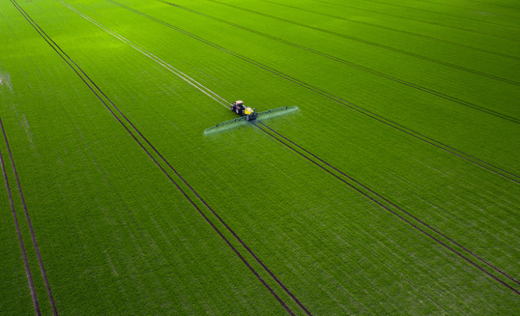 Em oito meses o desembolso do crédito rural chega a R$ 293,1 bilhões