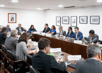 Tocantins e demais estados do Matopiba alinham ações de combate ao desmatamento ilegal no Cerrado