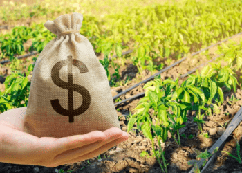 Mudanças na lei de recuperações judiciais colocam em risco financiamentos privados ao agro