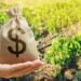 Mudanças na lei de recuperações judiciais colocam em risco financiamentos privados ao agro
