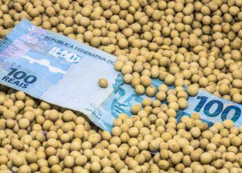 Preço da soja sobe em março e saca volta a valer mais de R$ 100 em Estado vizinho do Tocantins