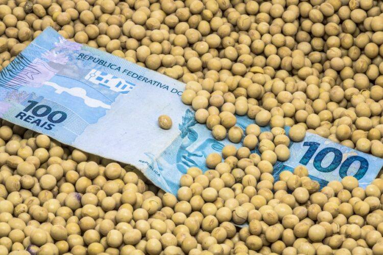 Preço da soja sobe em março e saca volta a valer mais de R$ 100 em Estado vizinho do Tocantins