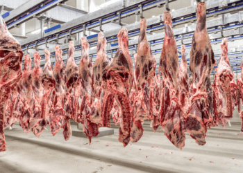 Mais frigoríficos podem ser habilitados pela China no 2º semestre