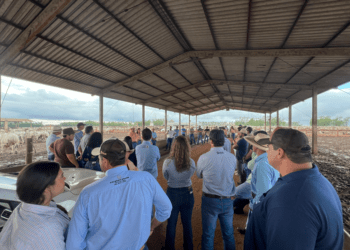 Road In Farming Dstak 2024 chega ao Tocantins e apresenta novidades para o Setor Agropecuário