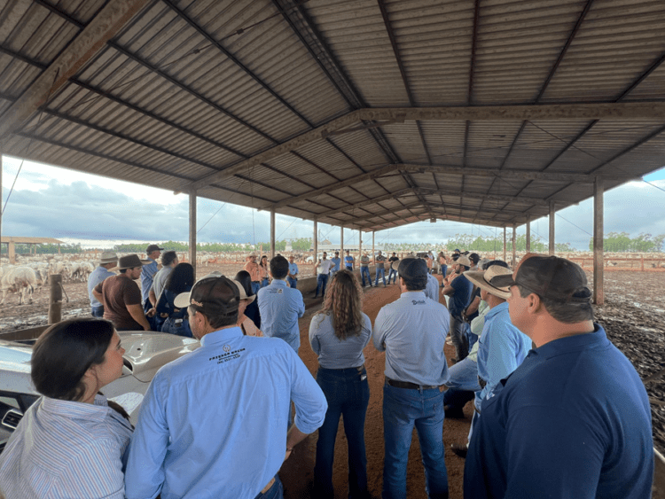 Road In Farming Dstak 2024 chega ao Tocantins e apresenta novidades para o Setor Agropecuário