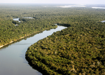 Naturatins divulga lista de entidades interessadas em compor o Conselho do Parque Estadual do Cantão
