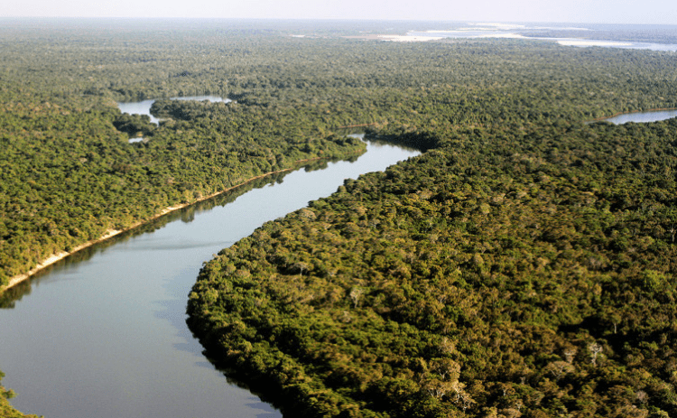 Naturatins divulga lista de entidades interessadas em compor o Conselho do Parque Estadual do Cantão