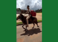 TOCANTINS: Entregador faz delivery montado em burro depois de perder moto em blitz