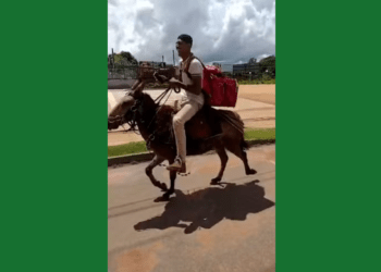 TOCANTINS: Entregador faz delivery montado em burro depois de perder moto em blitz