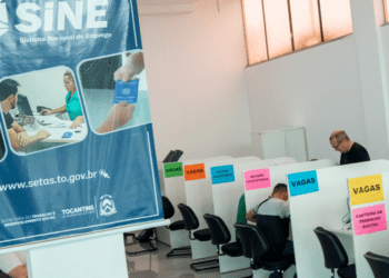 Tocantins é o primeiro estado da região Norte na geração de empregos em janeiro de 2024