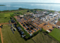 Tocantins prepara vitrine tecnológica de mandioca com alto potencial genético para Agrotins 2024