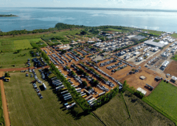 Tocantins prepara vitrine tecnológica de mandioca com alto potencial genético para Agrotins 2024