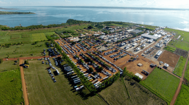 Tocantins prepara vitrine tecnológica de mandioca com alto potencial genético para Agrotins 2024
