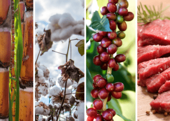 Exportações do agronegócio batem novo recorde para os meses de fevereiro e atingem US$ 11,63 bilhões